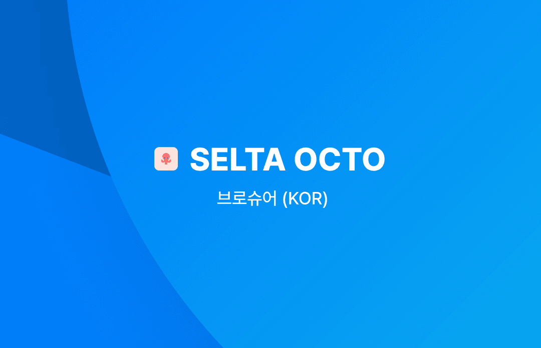 SELTA-OCTO 브로슈어 (KOR) 